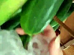 latina babe strolls panty-free through crowded supermarket publicly