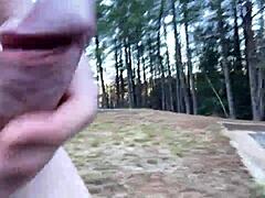 clitlicker662's update 28 img 1283 december