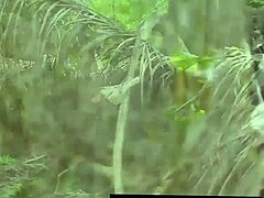 Jungle Lesbians Strapon Orgy Squirting Wet Pussy Fuck