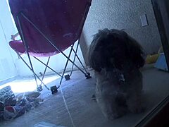 nicole ray grinds ass on april oneil's tits for deep fuck 😏🍑