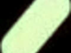 lily adams craves bryan gozzling's rough cock pounding