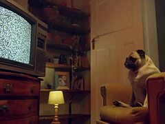 Horny Eden Ivy Sucks Cock Teasing with Blue Eyes