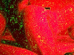 Step-Sister Devours Step-Brother's Ass Till He Bursts