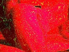 Step-Sister Devours Step-Brother's Ass Till He Bursts