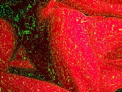 Step-Sister Devours Step-Brother's Ass Till He Bursts