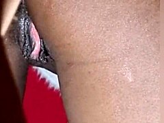 Fode Meu Cu While Cuck Leaves