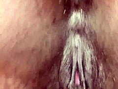 should i pull out or breed this ebony pregnant pussy?