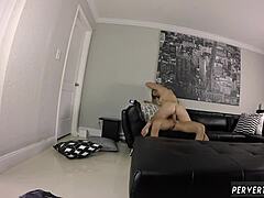 cory chase milf dom runs taboo hardcore show