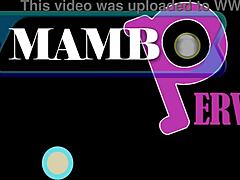 Brianna Cristina's slim black ass double anal bbc dap atm?