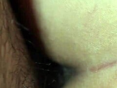 latina bends her big ass over for relentless doggystyle pounding