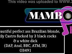that 20yo brazilian blonde gabily castro bends over her perfect ass for three black cocks dap anal atm no pussy ir pounding