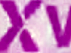 Milf's First Drunk Dp: Atm, Atp, Pee, Gaping Ass And Rough Face Fuck!