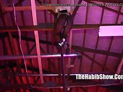 i'm that ebony freak misty stone stripping in the hood