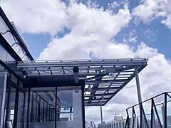 okinawa hibiscus flower nipples tease sleeping fuck dreams