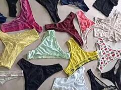 usa shemale prostitute's full 72 panty collection exposed bold