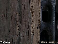 Erotic Sadomasochism Pictures Tease Senses