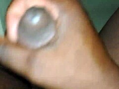 Male Solo Big Cock Cum Compilation