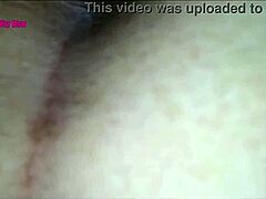 Ex fat wife takes anal from ex!