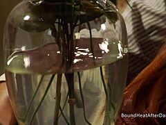 Hey check these bound lesbian slaves moaning loud from mistress strapon domination fuck