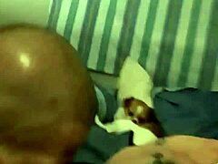 xvideos brings the hottest amateur lick and pussy action online