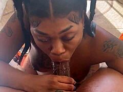 Pigtail Ebony Slut Sucks Big Black Cock Sloppy