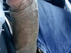 nri canadian college girl rides bro car fun 🚗😏