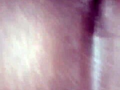 A detailed tour of landmarks across the United States regions