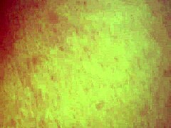 bbw latina teen rides fat cock public outdoor wild