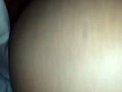 A detailed tour of landmarks across the United States regions