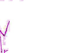 Tattooed Solo Babe Rams Dildo Deep in Tight Anal Hole!