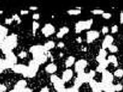 jasmine rose's hairy pussy takes cum blast in nurse doggystyle