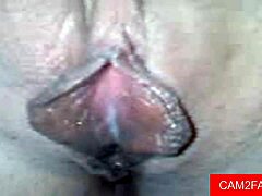 sexy webcam amateurs switch from blowjob to intense assfucking