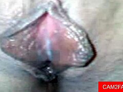 sexy webcam amateurs switch from blowjob to intense assfucking