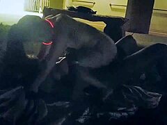 Swinger resort outdoor group doggystyle with monster cocks and long hair