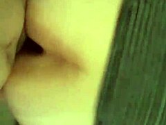 mexico's throbbing cock drives me wild with desire