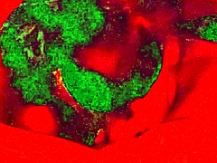 Cum-Starved Wife's Deepthroat Skills Shine in Amateur Face Fuck!