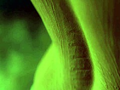 Captain Flashes Cock Blonde!