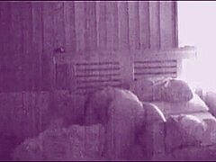 moaning brunette gf orgasms loud on boyfriend's dick