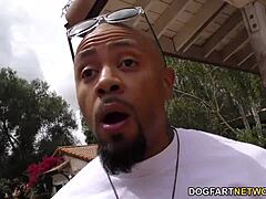 How many black cocks can Stella Cox swallow before the facial?