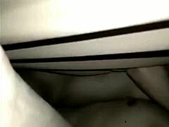 princess anica my favorite princess...