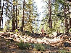 Simscristian05 Update 89 Naked Sheer Hike