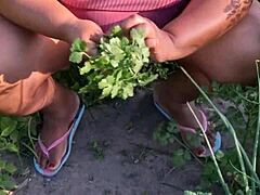 crente tends church garden plot