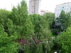 yo stepdaddy needs that morning blowjob quick