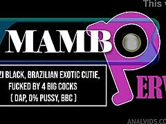 Meyzi Black Takes Three Monster BBCs Dap Atm Dirty Talk