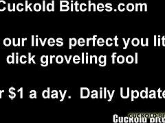 You're My Pathetic Cuckold Bitch Begging for Wife's Femdom