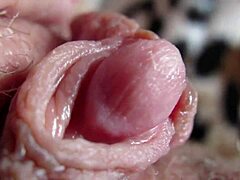 amateur's big clit swells throbs pulses in close-up homemade orgasm explosion