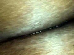 THICK PHAT BLACK BBW Squirts Wild On Monster Cock