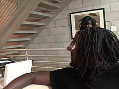black pussy gets creampied by big cock in doggystyle lover session