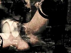 vintage swinging sixties london shadows hide lesbian muff licking lovers