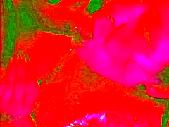 whoa these swingers deepthroat bbc like pros in sloppy group game!! 🍆💦😍